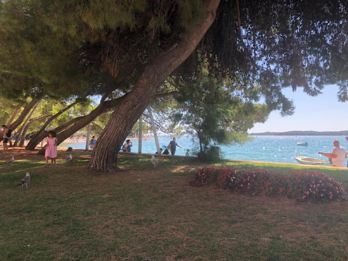 Istrian Stone House In The Heart Of The Beautiful Fishing Village Fazana - Only Few Steps From The Sea And The Wonderful Beach - Incl Plasma-Quad-Plus-Filter Against C O V I D Exteriör bild